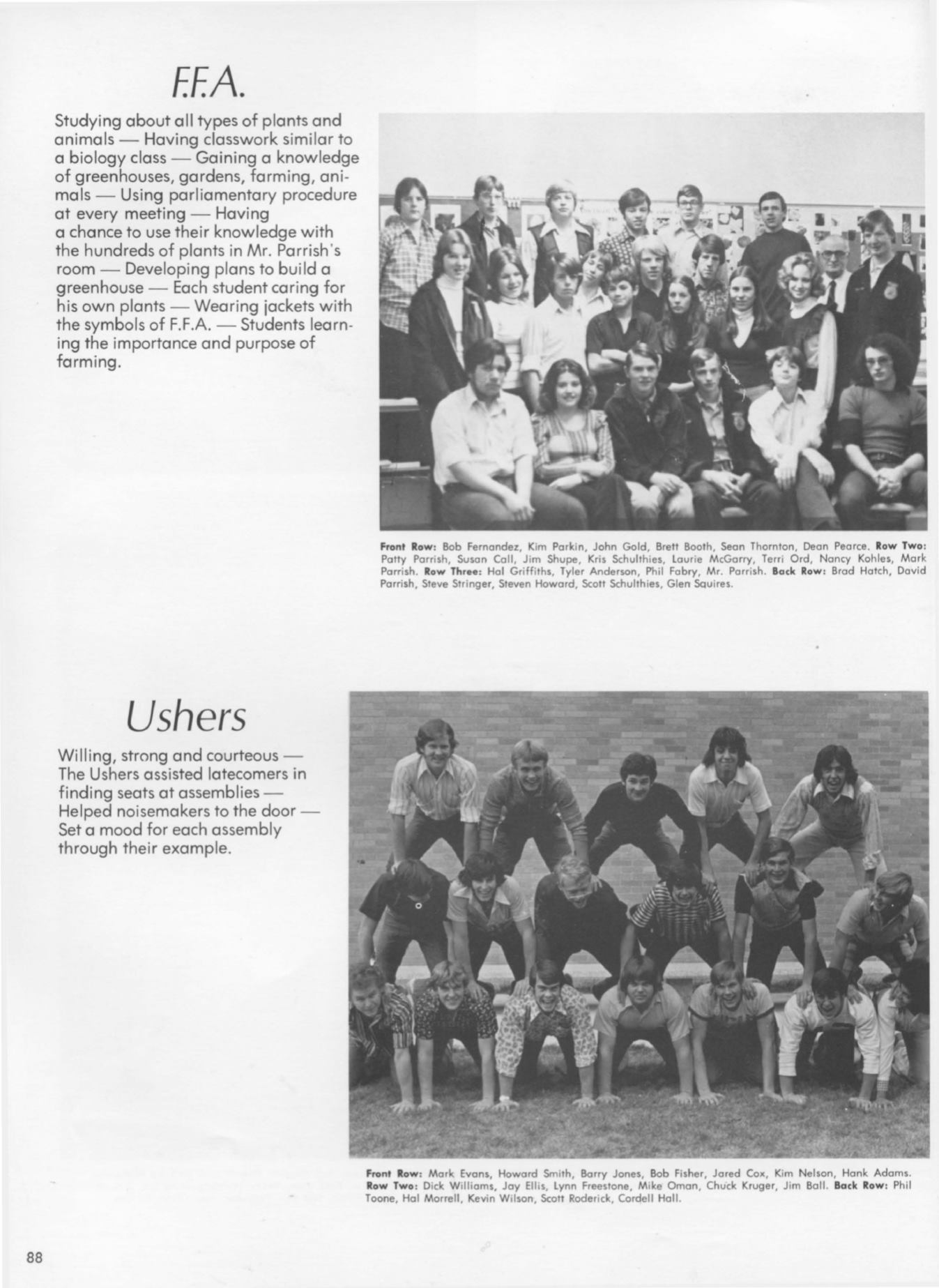 Page Background