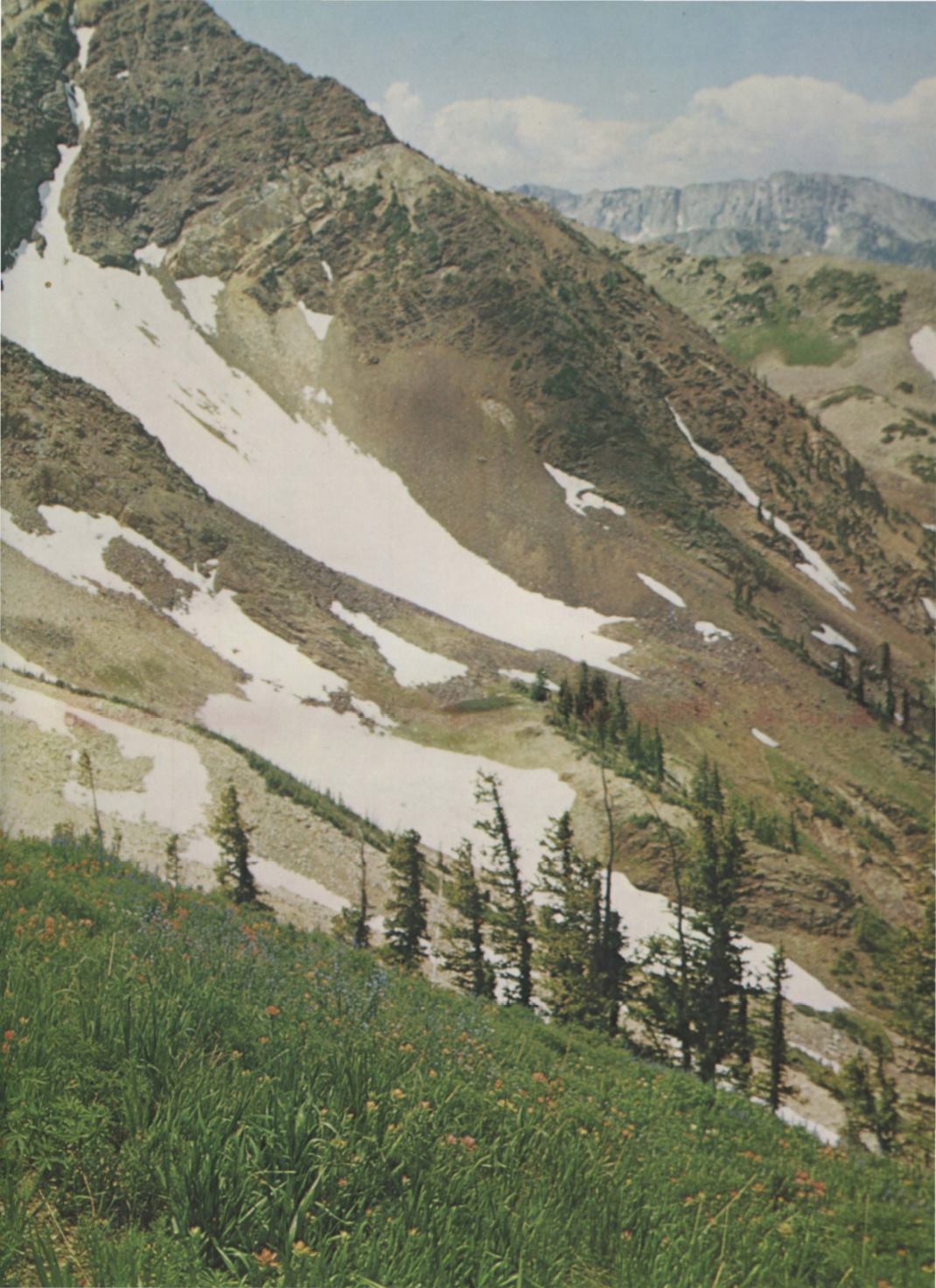 Page Background