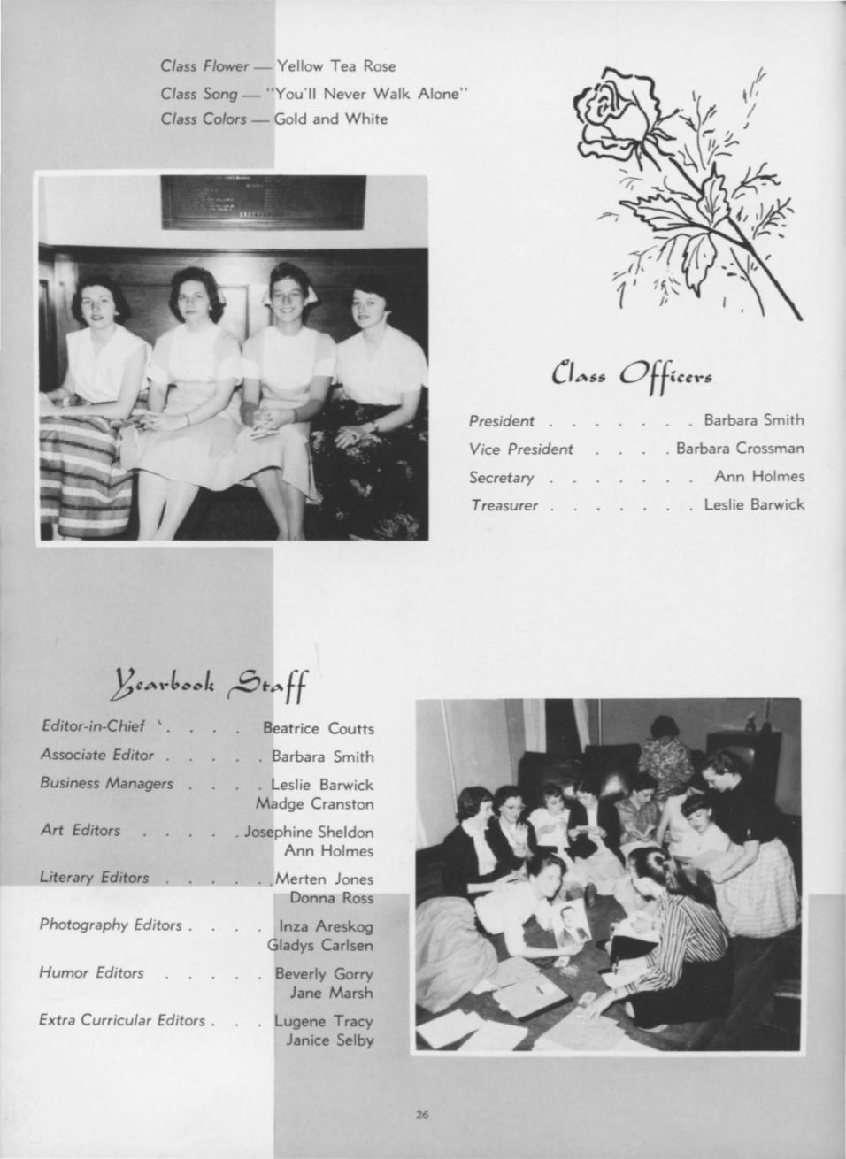 Page Background